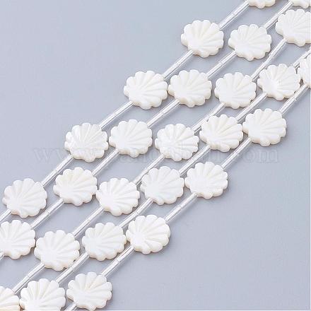 Perles de coquillage blanc naturel SSHEL-Q298-06-1