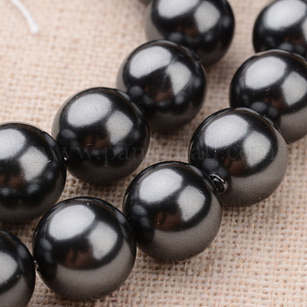 Polished Round Grade A Shell Pearl Bead Strands BSHE-M027-16mm-06-1