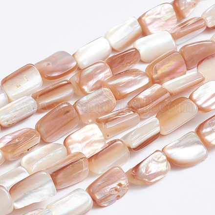 Chapelets de perles en coquillage naturel SSHEL-L016-14-1
