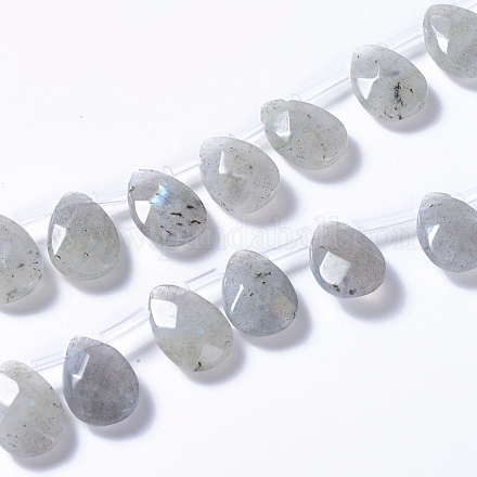 Chapelets de perles en labradorite naturelle  G-G822-12B-1