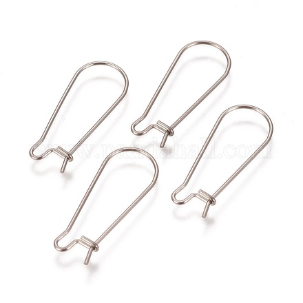 304 Stainless Steel Hoop Earrings Findings Kidney Ear Wires STAS-L216-22B-P-1