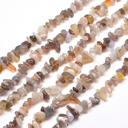 Natural Agate Chip Bead Strands G-M205-44-1