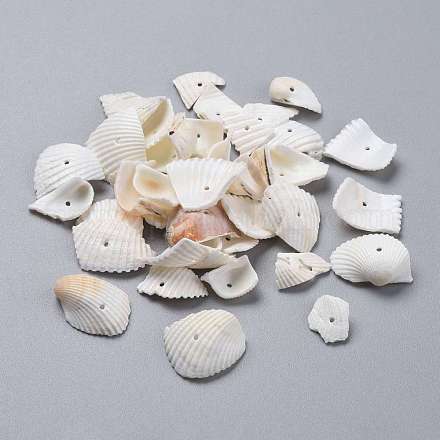 Shell perle naturali SHEL-K005-04-1