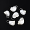 Natural Spiral Shell Pendants, with Iron Jump Rings, Platinum, Creamy White, 27~32x20~25x19~23mm, Hole: 10.5mm