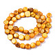Natural Freshwater Shell Beads Strands SHEL-S276-110B-08-2