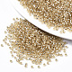 Glass Seed Beads X-SEED-S042-04A-05-1