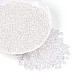 Прозрачное стекло Бисер SEED-N007-33A-01-2