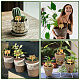木の植物のラベル  シードポッティング用  ハーブ  花  野菜  名  混合図形  70x50x3mm  15個/セット WOOD-WH0500-010-7
