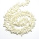 Bianco naturale perline shell fili BSHE-O001-B-02-2