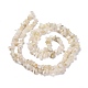 Brins blancs naturels de perles de puces pierre de lune X-G-M205-68-2