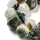 Chapelets de perles en agate d'arbre naturelle G-C085-A03-01-4