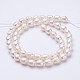 Grade AA Natural Cultured Freshwater Pearl Beads Strands PEAR-P002-24-2