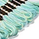 10 Skeins 6-Ply Polyester Embroidery Floss OCOR-K006-A26-2