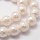 Chapelets de perles en coquille BSHE-L029-01-10mm-3