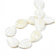 Chapelets de perles de coquille de trochid / trochus coquille SSHEL-N034-136A-01-4