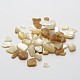 Aucun trou naturelles perles de coquillages blancs SSHEL-E556-05-1