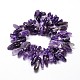 Natural Amethyst Chip Beads Strands G-E271-11-2