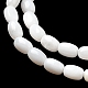 Eau douce naturelle de coquillage perles brins SHEL-R129-02-4