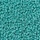 MIYUKI Delica Beads SEED-J020-DB0759-3