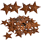 Pendentifs en fer&nbsp;IFIN-WH0100-01A-1