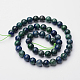Natural Chrysocolla and Lapis Lazuli Beads Strands G-F262-02-8mm-2