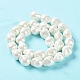 Electroplated Shell Pearl Beads Strands BSHE-G035-01B-05-3