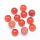 Natural Carnelian Cabochons G-P393-R03-6mm-1