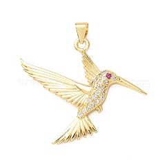 Estante de placas micro latón allanan colgantes de circonio cúbico, sin plomo y cadmio, real 18k chapado en oro, encanto de colibrí, Claro, 34x25x3mm, agujero: 3.5x5 mm