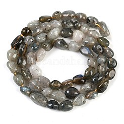 Natur Labradorit Perlen Stränge&nbsp;G-P497-01B-03