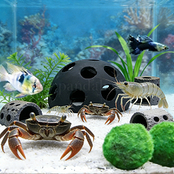 10 Stück Porzellan-Garnele-Fisch-Versteckhaus-Ornament&nbsp;DIY-GO0003-49