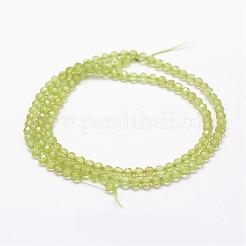 Natürlichen Peridot Perlen Stränge&nbsp;G-F460-52