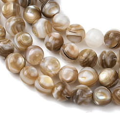 Hebras naturales de cuentas de concha de agua dulce&nbsp;X-SHEL-K006-71A