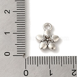 Tibetischer stil Aluminium Anhänger & Charms&nbsp;TIBEP-L021-04AS-03