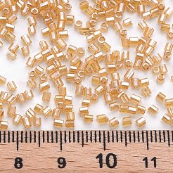 Perline di tromba in vetro&nbsp;SEED-S032-11A-102B
