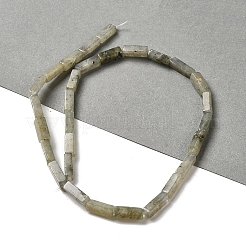 Perline labradorite naturale fili&nbsp;G-G873-A02-01