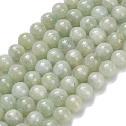 Natürliche myanmarische Jade / burmesische Jade-Perlenstränge&nbsp;G-L642-B11-6mm