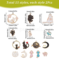 30pcs 15 Arten Legierungs-Emaille-Charms&nbsp;ENAM-SC0003-27