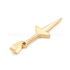 Pendentifs en acier inoxydable 304 avec placage ionique (IP)&nbsp;STAS-F288-10G