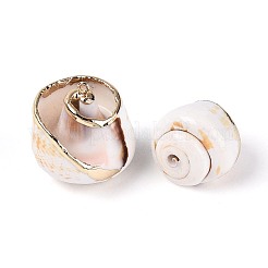Galvanisierte Anhänger aus natürlichen Muscheln&nbsp;SSHEL-T017-38