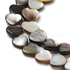 Natur schwarz Lippe Shell Perlen Stränge&nbsp;SHEL-K006-17