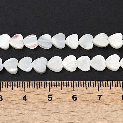 Natürliche Trochidschale / Trochusschalenperlenstränge&nbsp;SSHEL-K012-04A