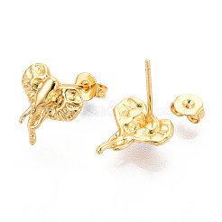 Orecchini in ottone&nbsp;EJEW-N060-03G