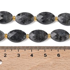 Natürliche Larvikit-Perlenstränge&nbsp;G-A295-A03-01