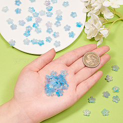 Capsules de perles d'acétate de cellulose (résine)&nbsp;RESI-CJ0001-221