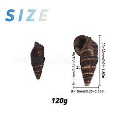 Spiralmuschelperlen&nbsp;SSHEL-SC0001-07