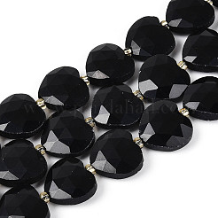 Natürlichen Obsidian Perlen Stränge&nbsp;G-P592-B06-01