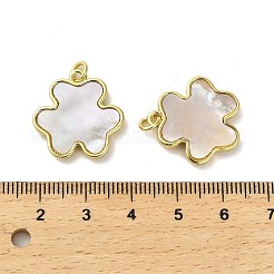Muschelanhänger aus Messing mit Pavé-Fassung&nbsp;KK-K365-08A-G
