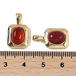 Anhänger aus natürlichem Karneol (gefärbt und erhitzt)&nbsp;KK-P283-50G
