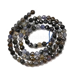 Naturperlen Stränge iolite&nbsp;G-G343-B01-4mm