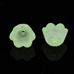 Transparente Acryl Perlen&nbsp;X-FACR-N005-001